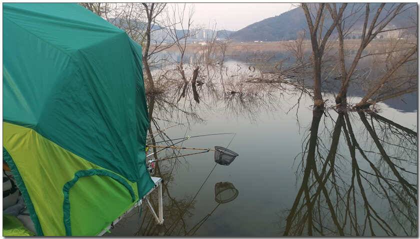 칠곡성주권 조황4241393938외 마리수 (조황조행기 - 낚시점조황)