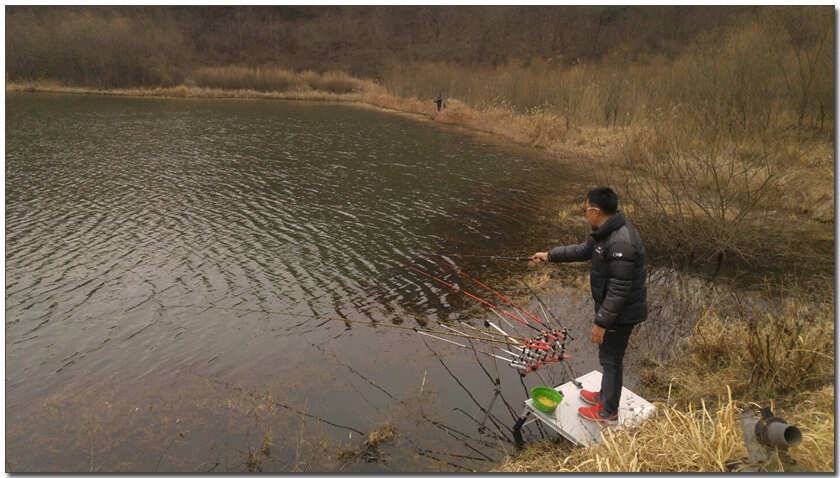 칠곡 성주권 조황및 분석 (조황조행기 - 낚시점조황)