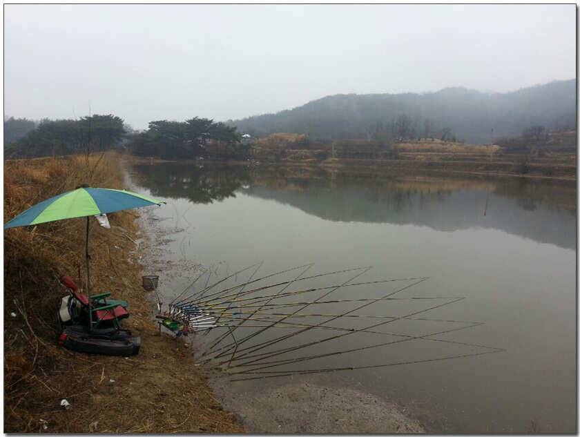 칠곡 성주권 조황및 분석 (조황조행기 - 낚시점조황)