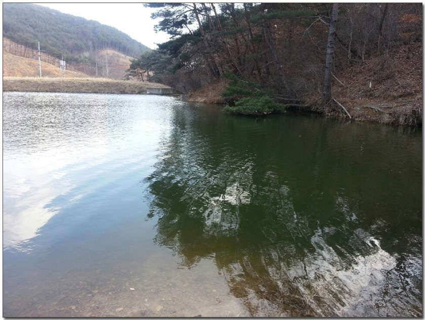 칠곡 성주권 조황및 분석 (조황조행기 - 낚시점조황)