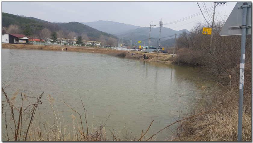칠곡 성주권 조황및 분석 (조황조행기 - 낚시점조황)