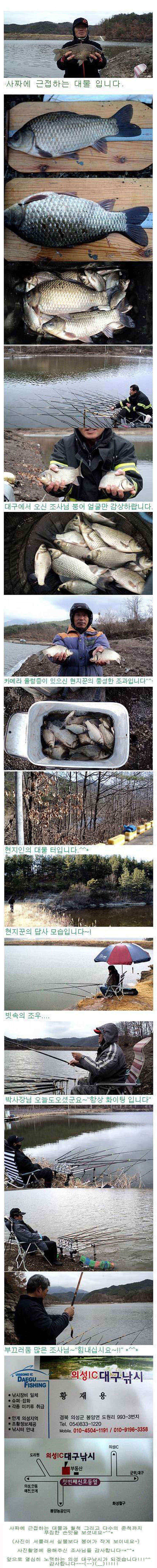 3월 첫째주 대물 마릿수 조항 의성 대구낚시 (조황조행기 - 낚시점조황)
