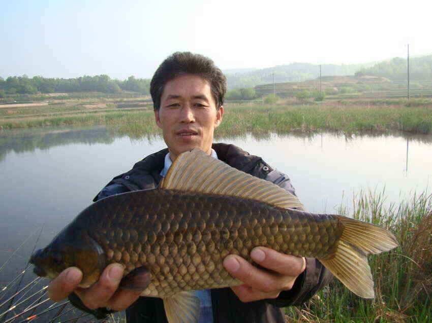 대물나라의 군위 의성권 소식 입니다 (조황조행기 - 낚시점조황)