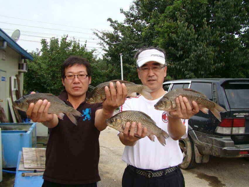 대물나라의 군위 의성권 소식 입니다 (조황조행기 - 낚시점조황)