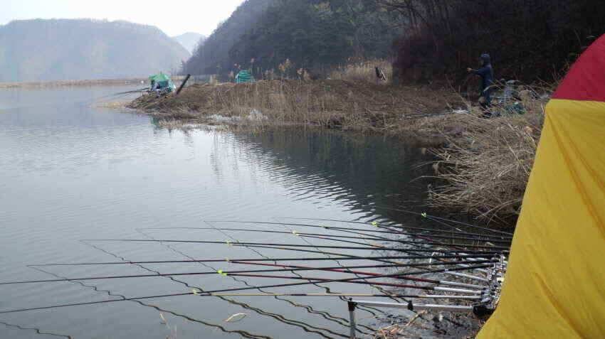 안녕 하세요 의성 대구낚시입니다 (조황조행기 - 낚시점조황)