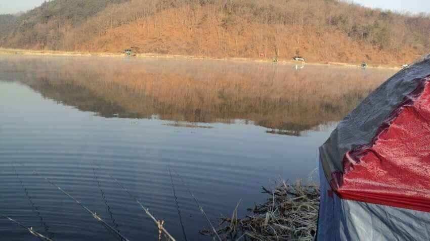 안녕하세요 의성ic대구낚시입니다 (조황조행기 - 낚시점조황)