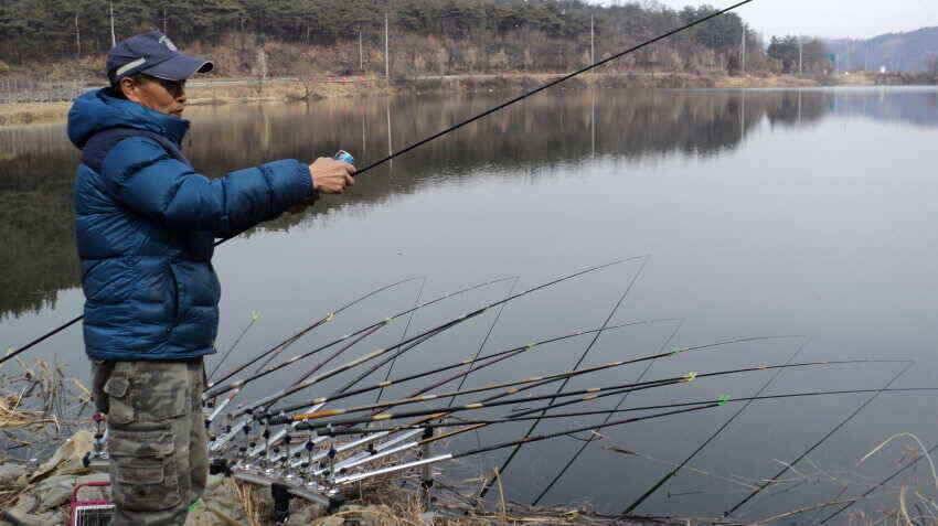 안녕하세요 의성대구낚시입니다 (조황조행기 - 낚시점조황)