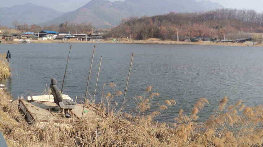 안녕하세요 의성대구낚시입니다 (조황조행기 - 낚시점조황)