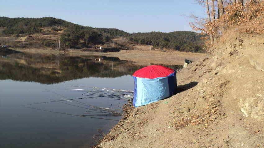 안녕하세요 의성대구낚시입니다 (조황조행기 - 낚시점조황)