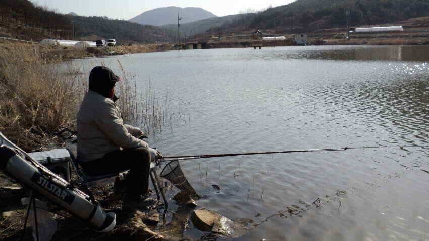 안녕하세요 의성대구낚시입니다 (조황조행기 - 낚시점조황)