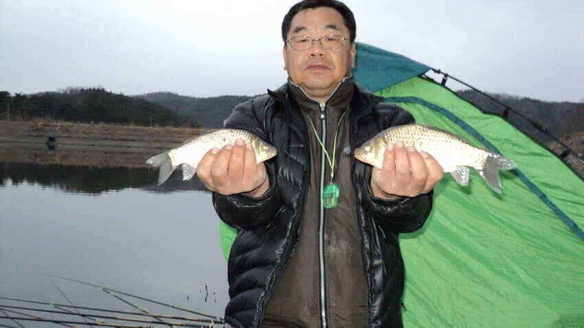 안녕 하십니까대구 낚시입니다 (조황조행기 - 낚시점조황)