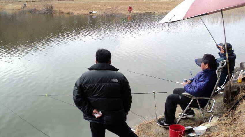 안녕 하십니까대구 낚시입니다 (조황조행기 - 낚시점조황)