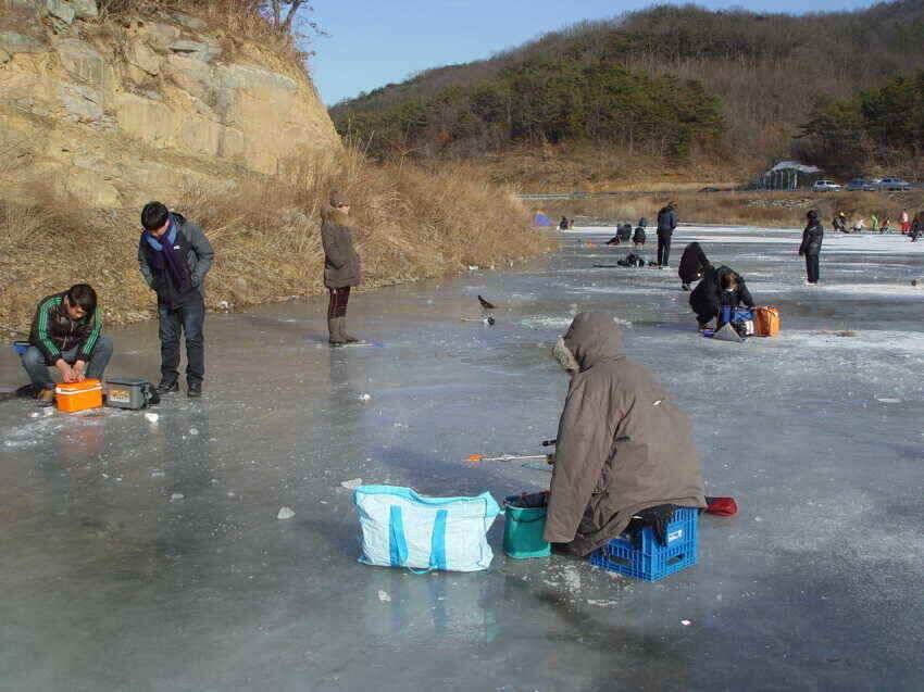 구정명절잘보내셨는지요새해엔모든조사님들어복충만하시길 (조황조행기 - 낚시점조황)
