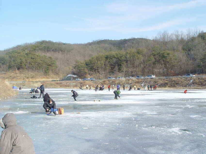 구정명절잘보내셨는지요새해엔모든조사님들어복충만하시길 (조황조행기 - 낚시점조황)