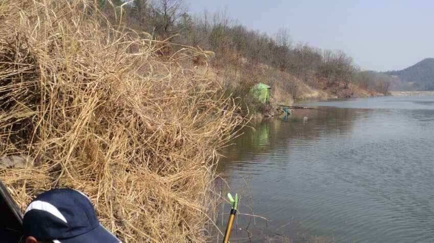 안녕하세요 의성ic대구낚시입니다 (조황조행기 - 낚시점조황)