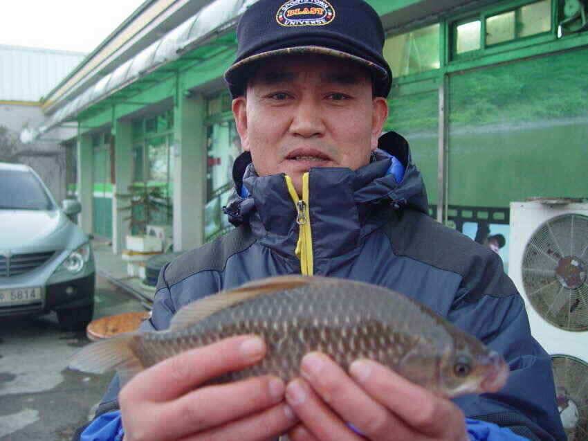 대구에서 가장 가까운 빙어터 군위내의지 (조황조행기 - 낚시점조황)