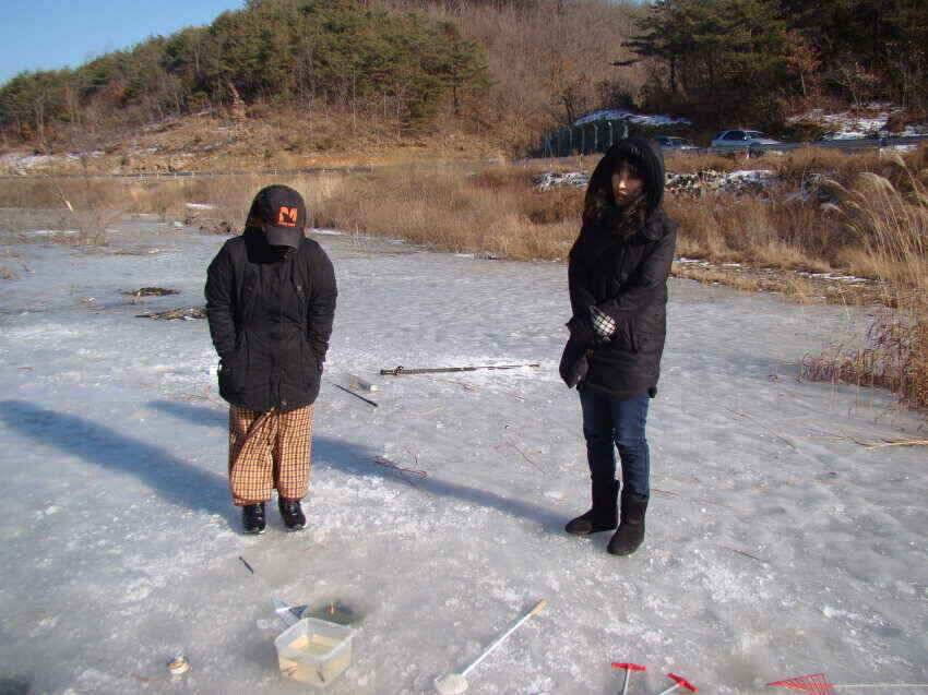 2월3일군위얼음탈수있음내의지빙어낚시가능얼음충분히탈수있어요 (조황조행기 - 낚시점조황)