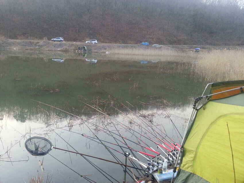 군위붕어군위소류지에서조금조금호조황꾼님들꾼의길의방향을 군위붕어로만나시길 (조황조행기 - 낚시점조황)