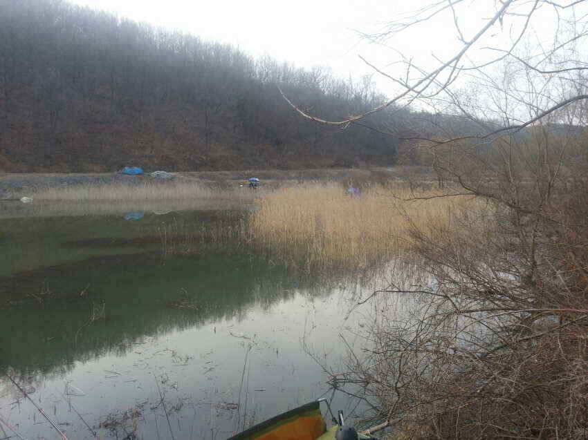군위붕어군위소류지에서조금조금호조황꾼님들꾼의길의방향을 군위붕어로만나시길 (조황조행기 - 낚시점조황)