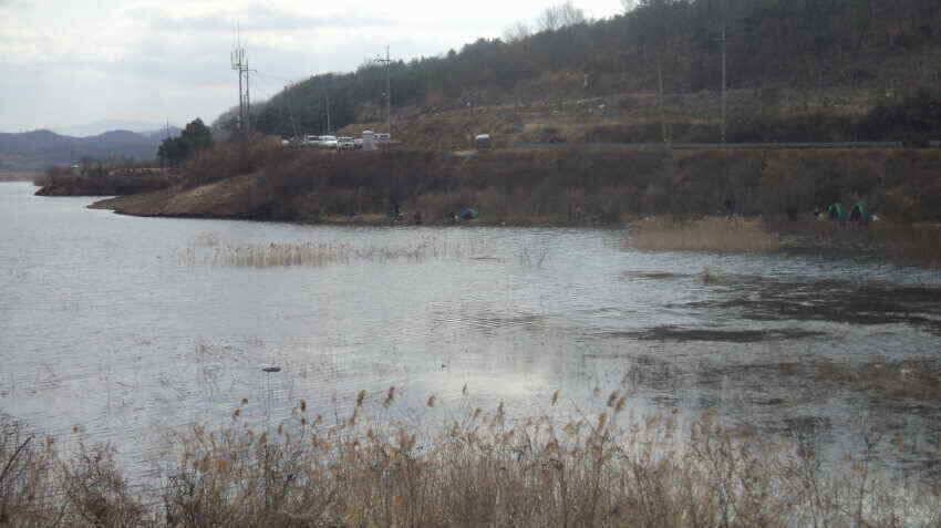 안녕하세요의성IC대구낚시입니다 (조황조행기 - 낚시점조황)