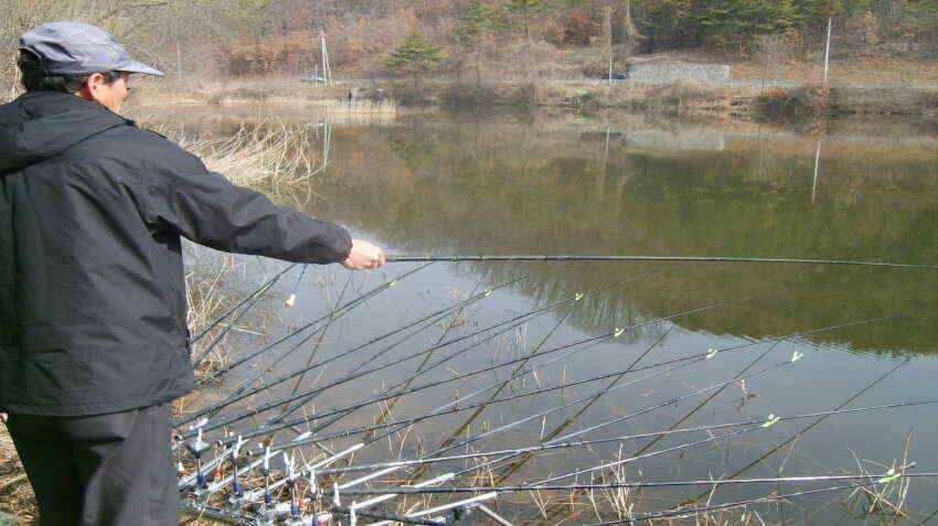 안녕하세요의성IC대구낚시입니다 (조황조행기 - 낚시점조황)
