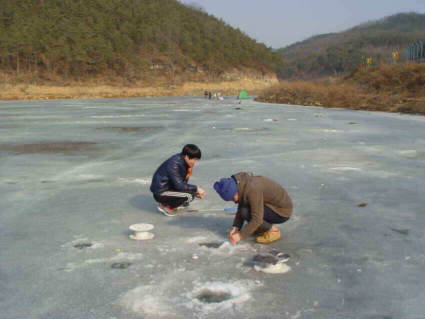 군위빙어낚시붕어낚시1월30일오늘조황 (조황조행기 - 낚시점조황)