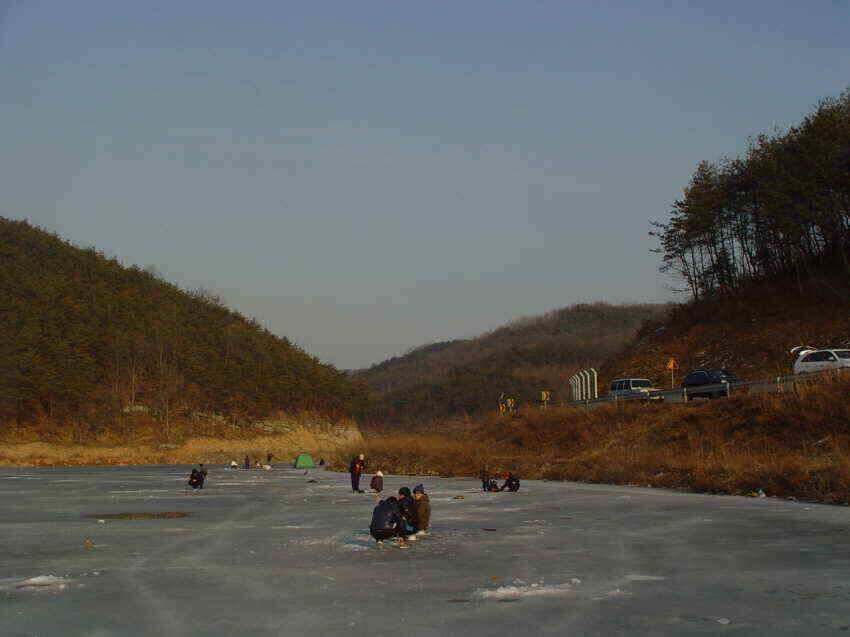 군위빙어낚시붕어낚시1월30일오늘조황 (조황조행기 - 낚시점조황)