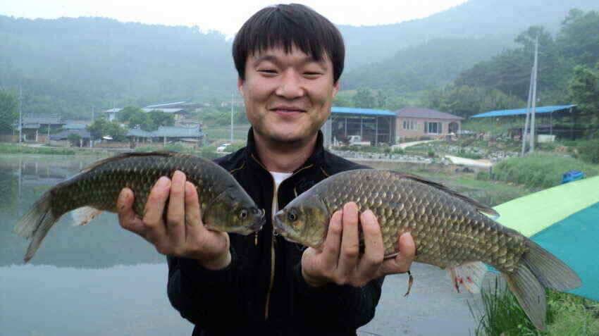 안녕하세요 의성ic대구낚시입니다 (조황조행기 - 낚시점조황)