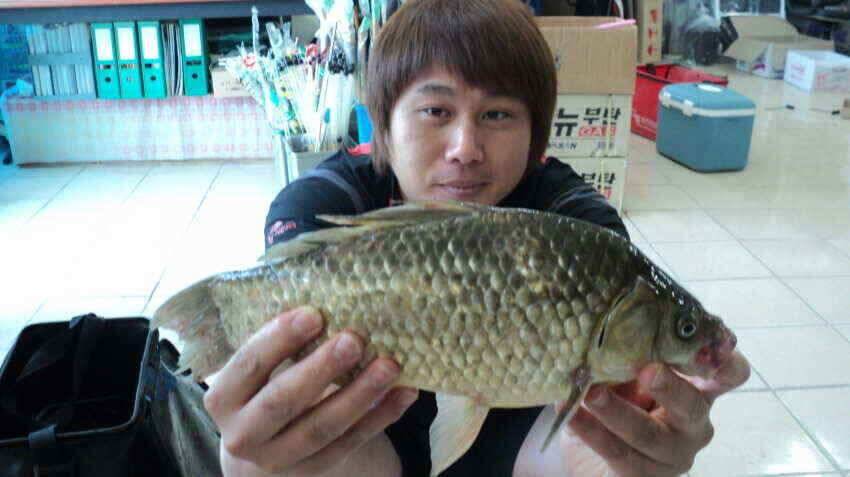 안녕하세요 의성ic대구낚시입니다 (조황조행기 - 낚시점조황)