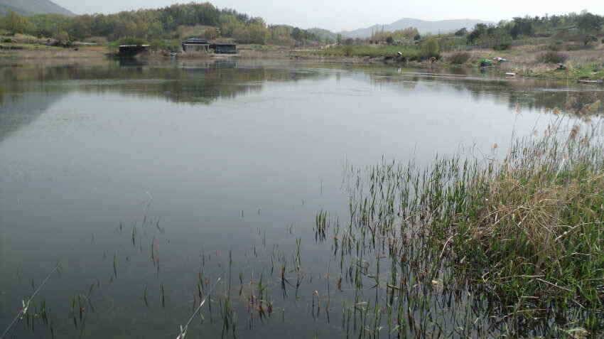 안녕하세요 의성ic 대구낚시 입니다 (조황조행기 - 낚시점조황)