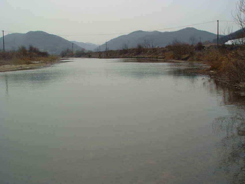 매우멋찐주말낚시여행되시길 (조황조행기 - 낚시점조황)