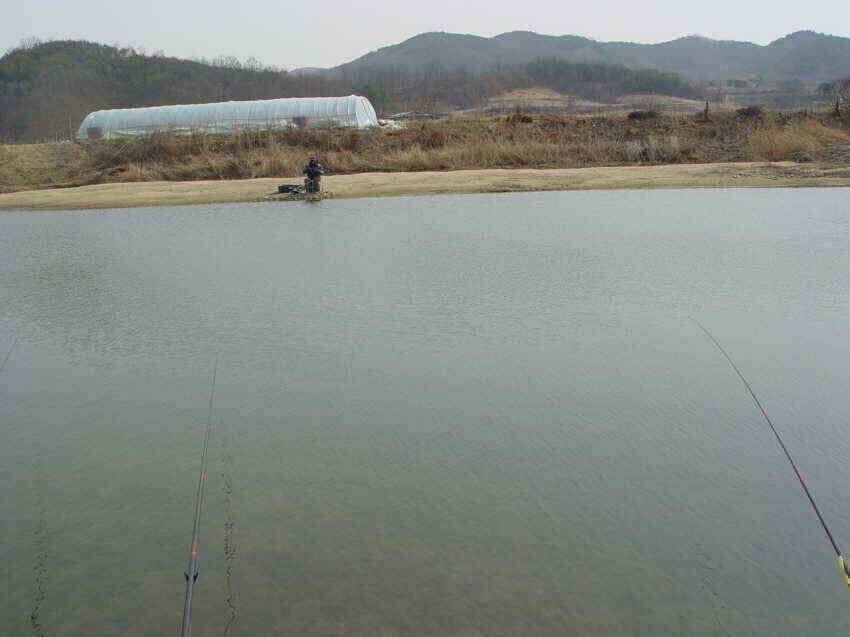 매우멋찐주말낚시여행되시길 (조황조행기 - 낚시점조황)