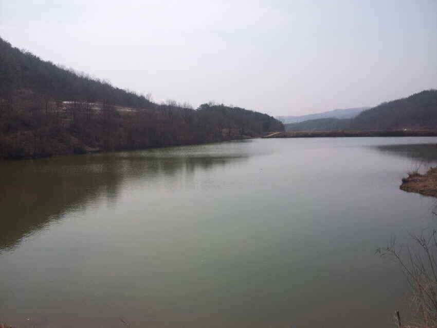 산호지 군위붕어꾼의길 을군위로가시면즐거운주말이예상됩니다 (조황조행기 - 낚시점조황)