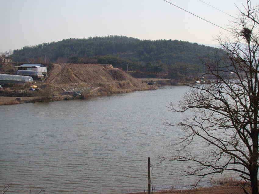 산호지 군위붕어꾼의길 을군위로가시면즐거운주말이예상됩니다 (조황조행기 - 낚시점조황)