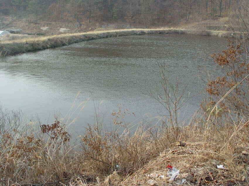 저수지들점점물색이좋아집니다 (조황조행기 - 낚시점조황)