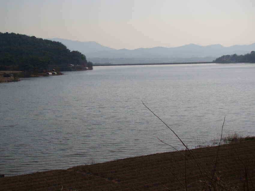 산호지 군위붕어꾼의길 을군위로가시면즐거운주말이예상됩니다 (조황조행기 - 낚시점조황)