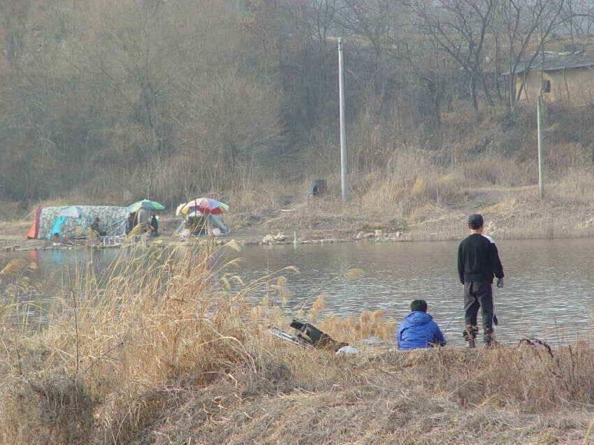 저수지들점점물색이좋아집니다 (조황조행기 - 낚시점조황)