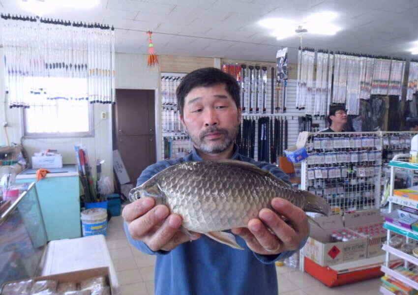 안녕하세요 의성ic 대구낚시 입니다 (조황조행기 - 낚시점조황)