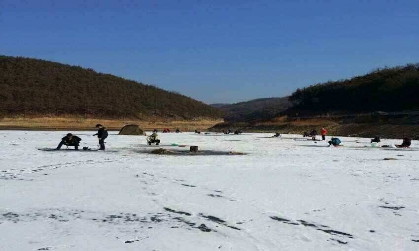 군위어의지빙어낚시빙어풍년에 축제분위기를 예상하면서 주말을 가족과 빙어여행을 (조황조행기 - 낚시점조황)