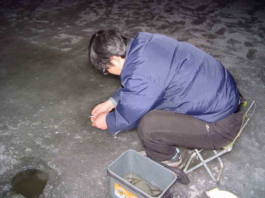 블루길낚시대박빙어대박붕어대박오늘도얼음탈수있네요 (조황조행기 - 낚시점조황)