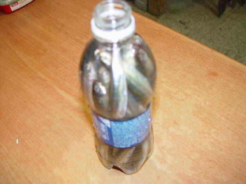 블루길낚시대박빙어대박붕어대박오늘도얼음탈수있네요 (조황조행기 - 낚시점조황)
