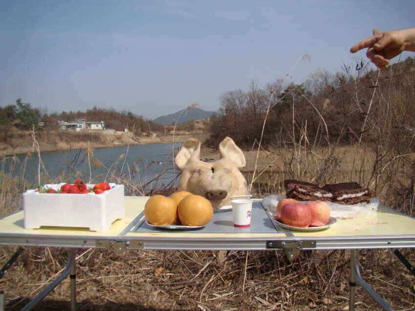 대박시조회의모습화성조우회 (조황조행기 - 낚시점조황)
