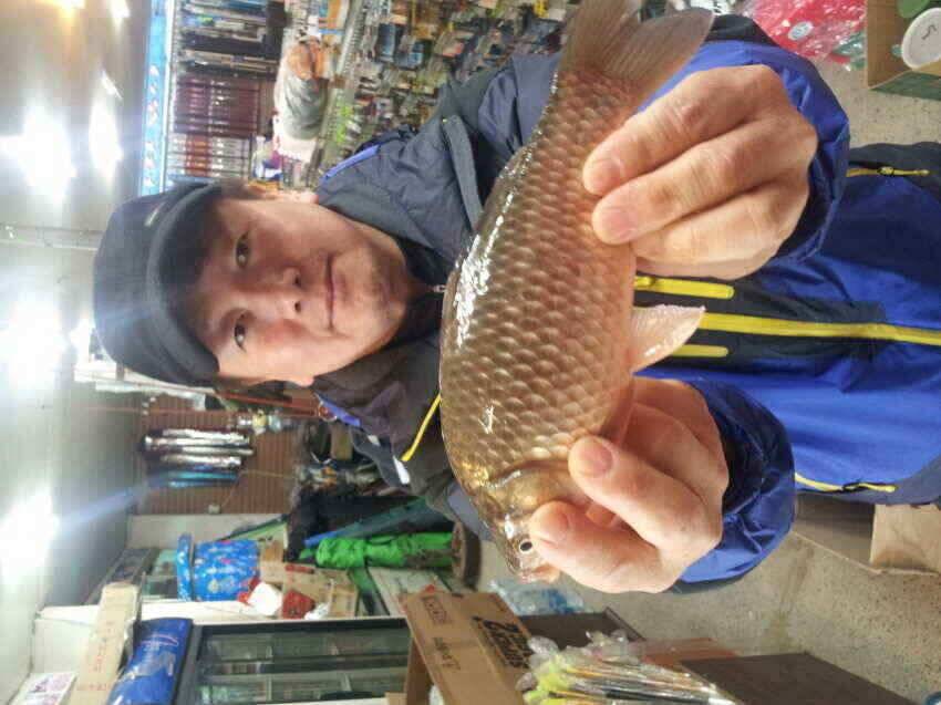 오름조우회얼음낚시의조과잔챙이에서준척급까지 ㅎㅎ (조황조행기 - 낚시점조황)