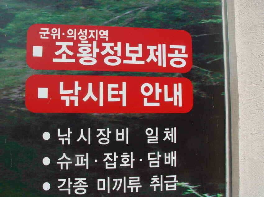 군위권얼음천천히녹고있습니다 (조황조행기 - 낚시점조황)