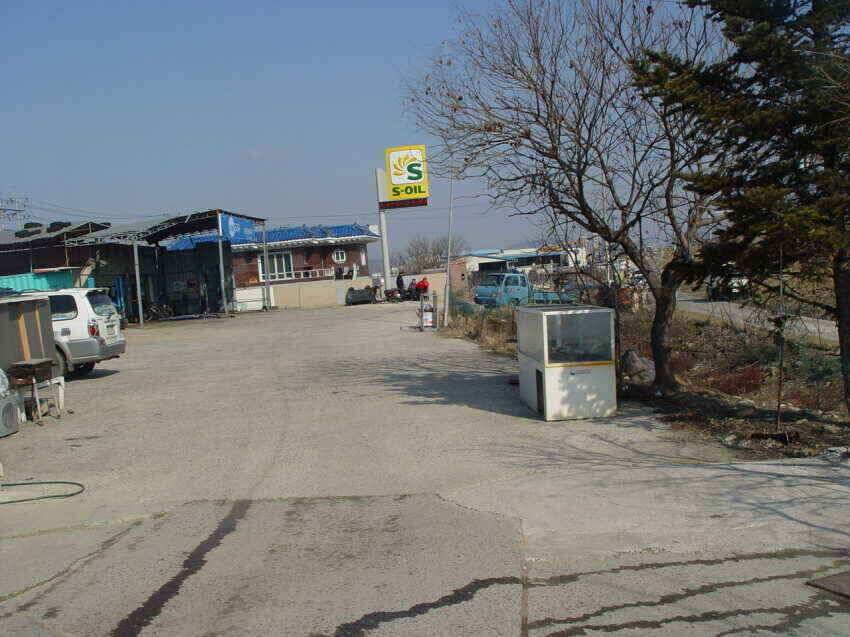 군위권얼음천천히녹고있습니다 (조황조행기 - 낚시점조황)
