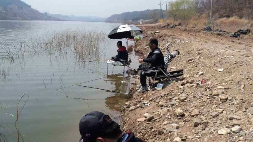 안녕하세요 의성ic대구낚시입니다 (조황조행기 - 낚시점조황)