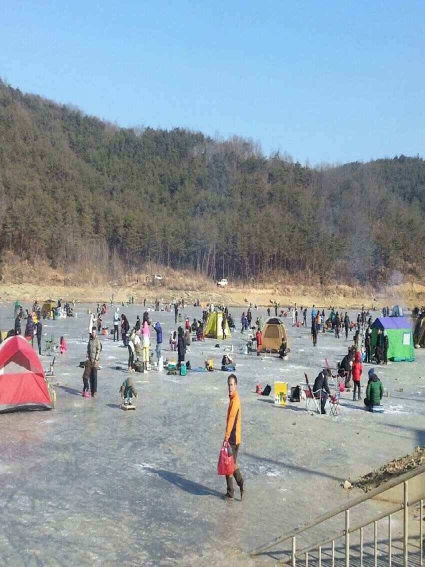 군위어의지빙어낚시계속 (조황조행기 - 낚시점조황)