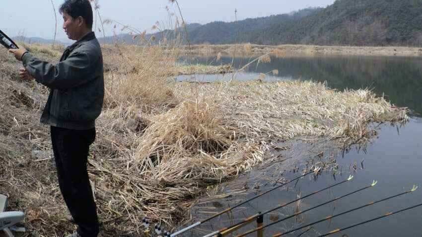 안녕하세요 의성ic대구낚시입니다 (조황조행기 - 낚시점조황)