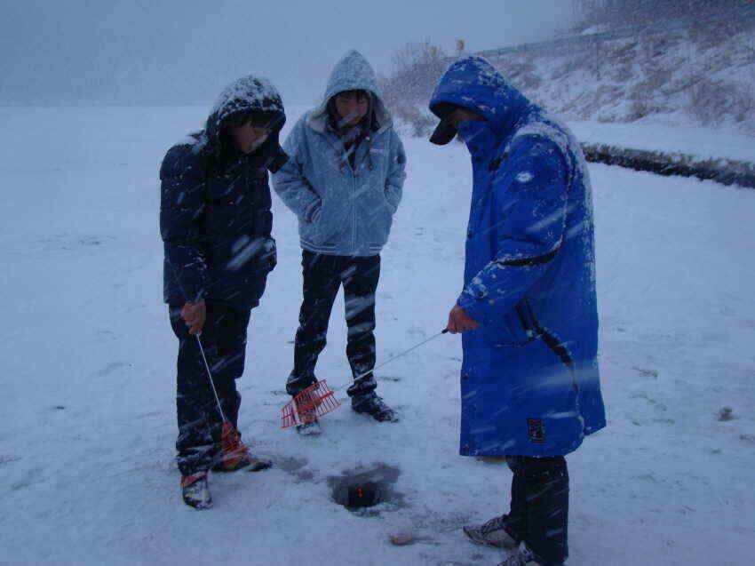 경북 군위군에 위치한 저희 가계에서 20분거리가족단위의빙어낚시장소내의지어의지…에서 주말여행을 (조황조행기 - 낚시점조황)