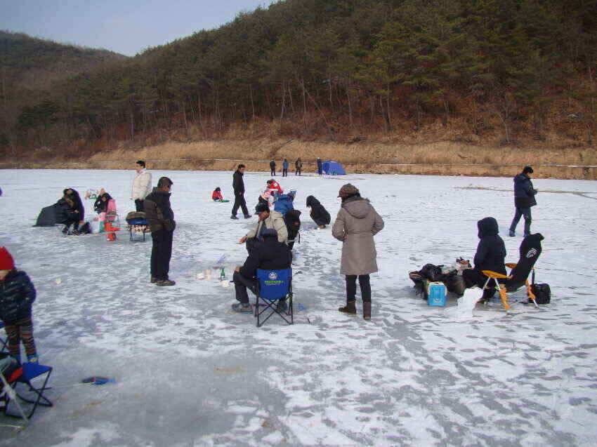 군위내의지빙어낚시30100여수마릿수 (조황조행기 - 낚시점조황)